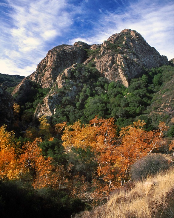 James Kenney Malibu Canyon SP